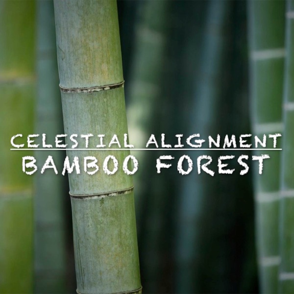 Bamboo Forest - Single album cover