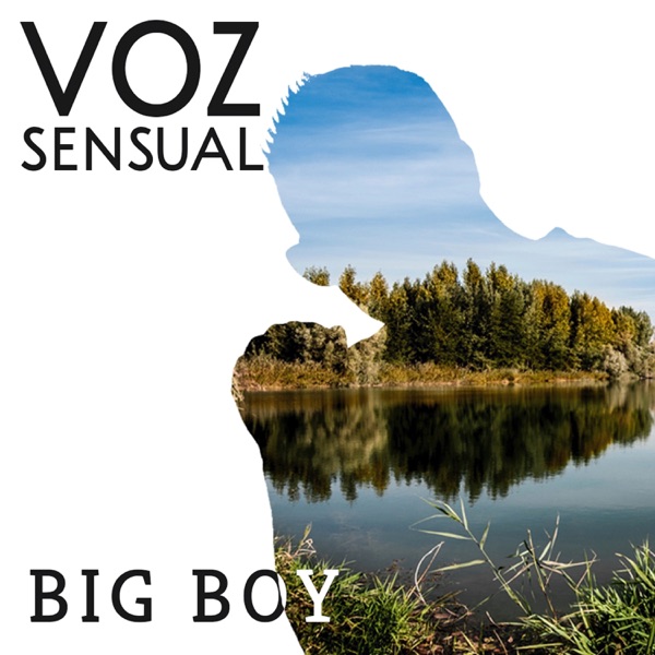 Voz Sensual album cover