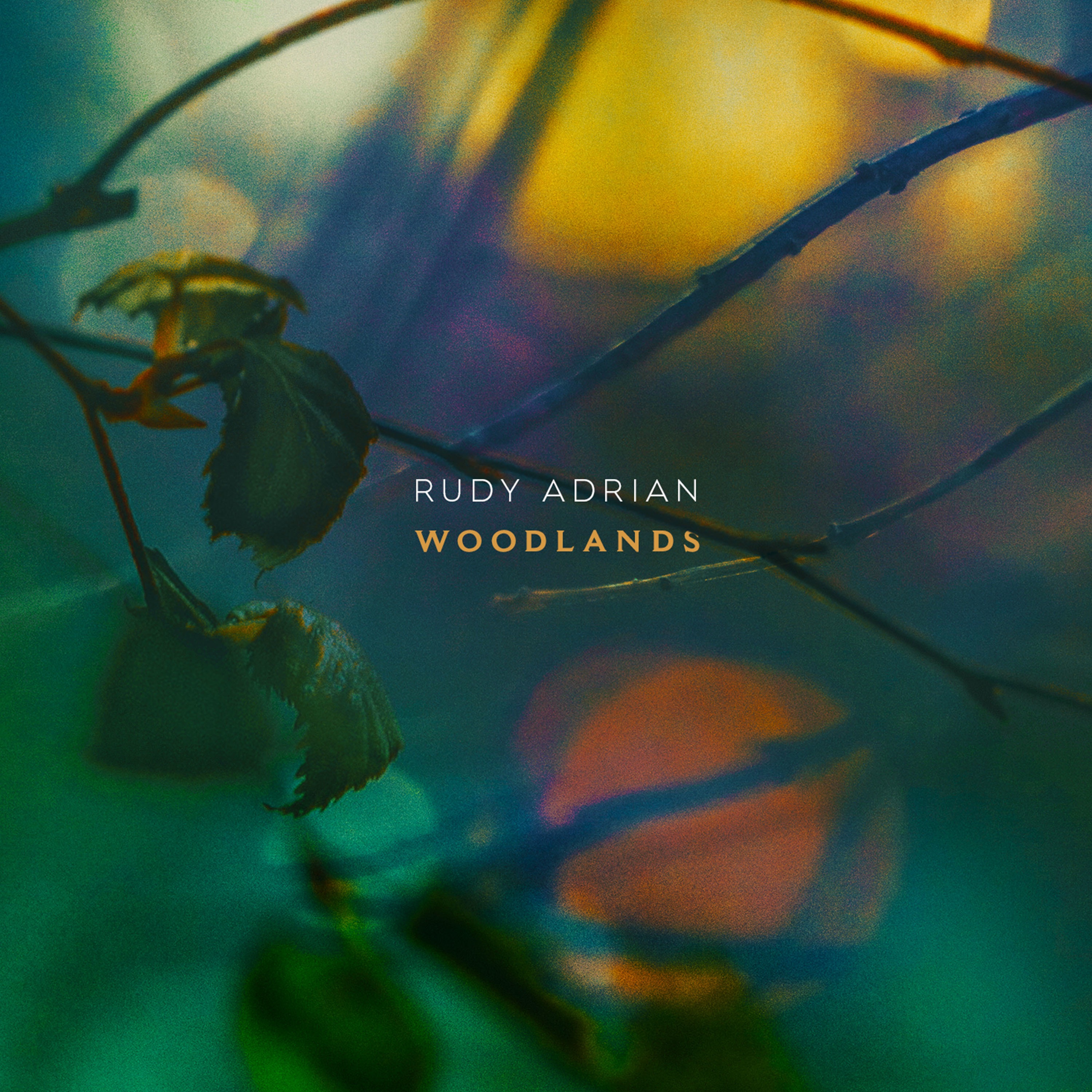 Woodlands album cover
