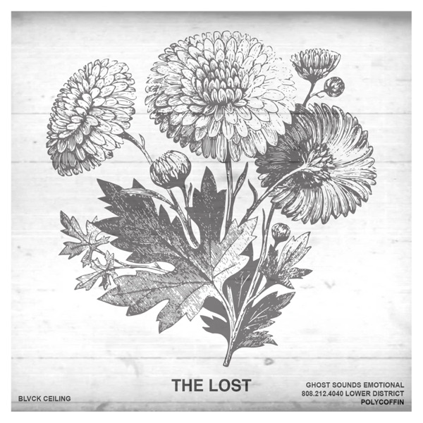 The Lost album cover