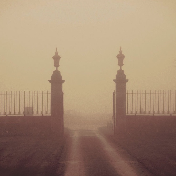 Emre Aracı Portrait