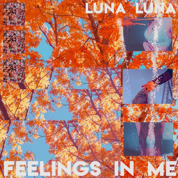 Feelings in Me - Single album cover