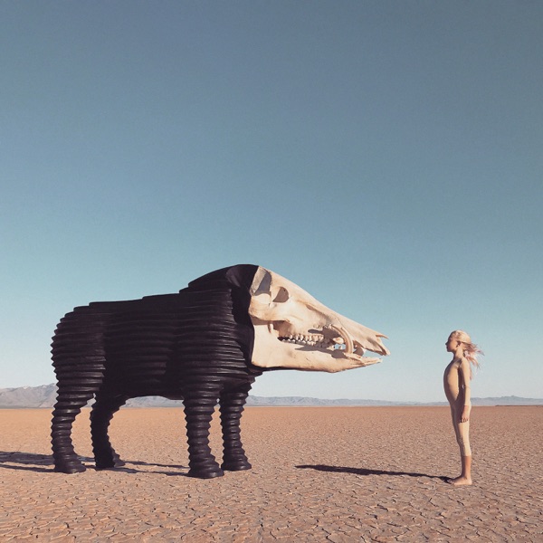 Dream Hunting in the Valley of the In-Between album cover