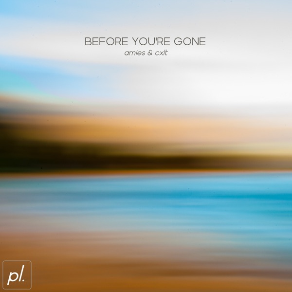 Before You're Gone - Single album cover