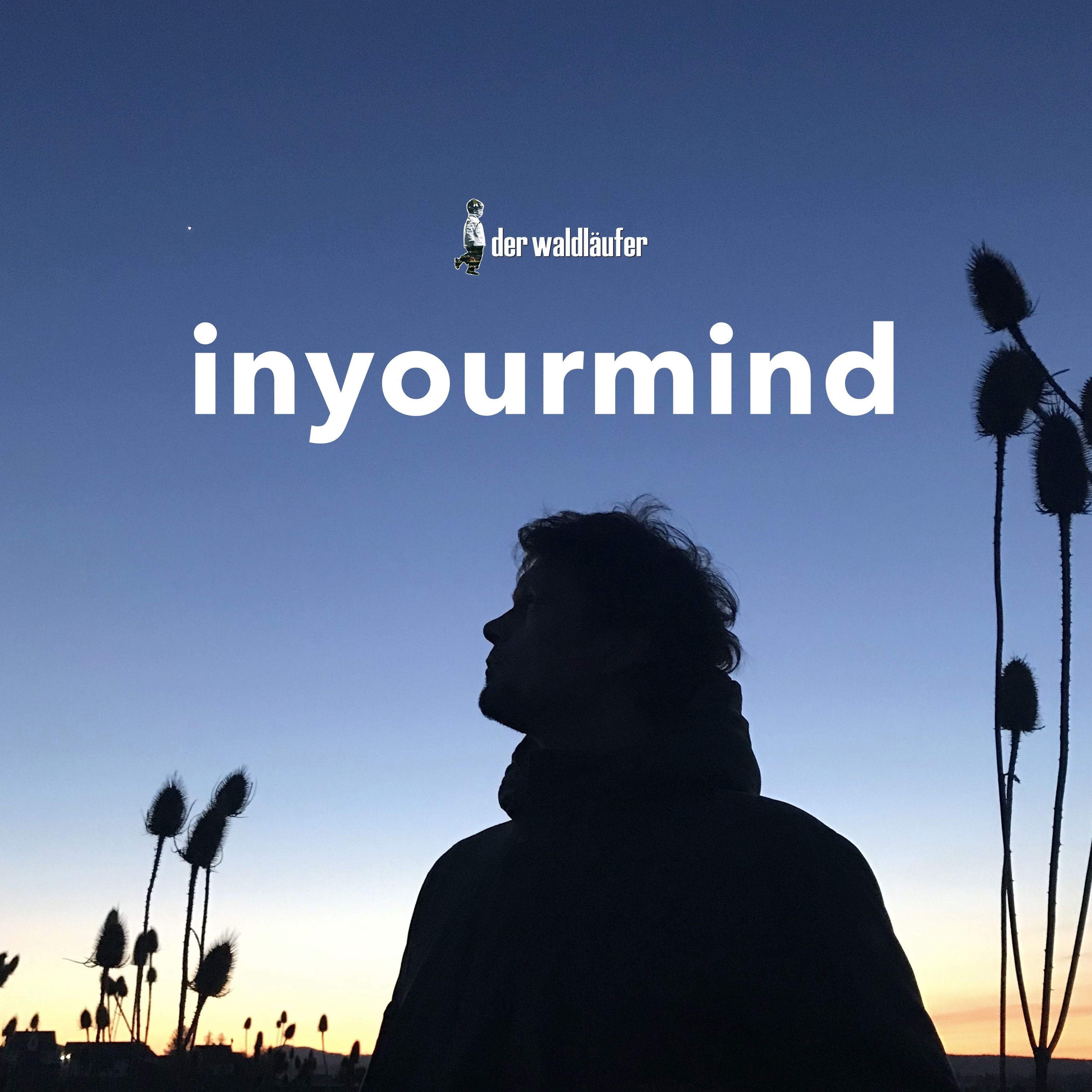 Inyourmind (feat. BaoBao) - Single album cover