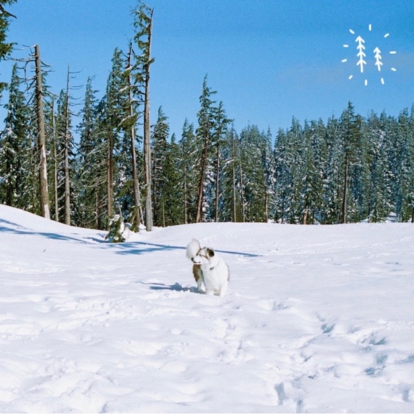 The River - Single album cover