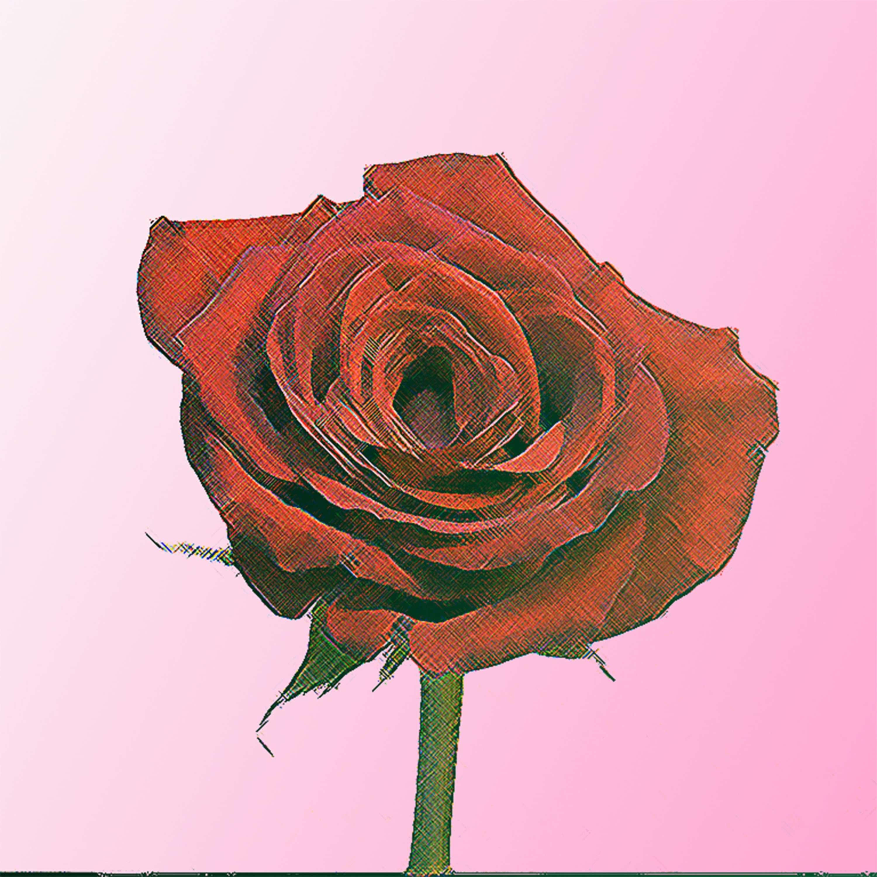 Love Me True, or Love Me Not album cover