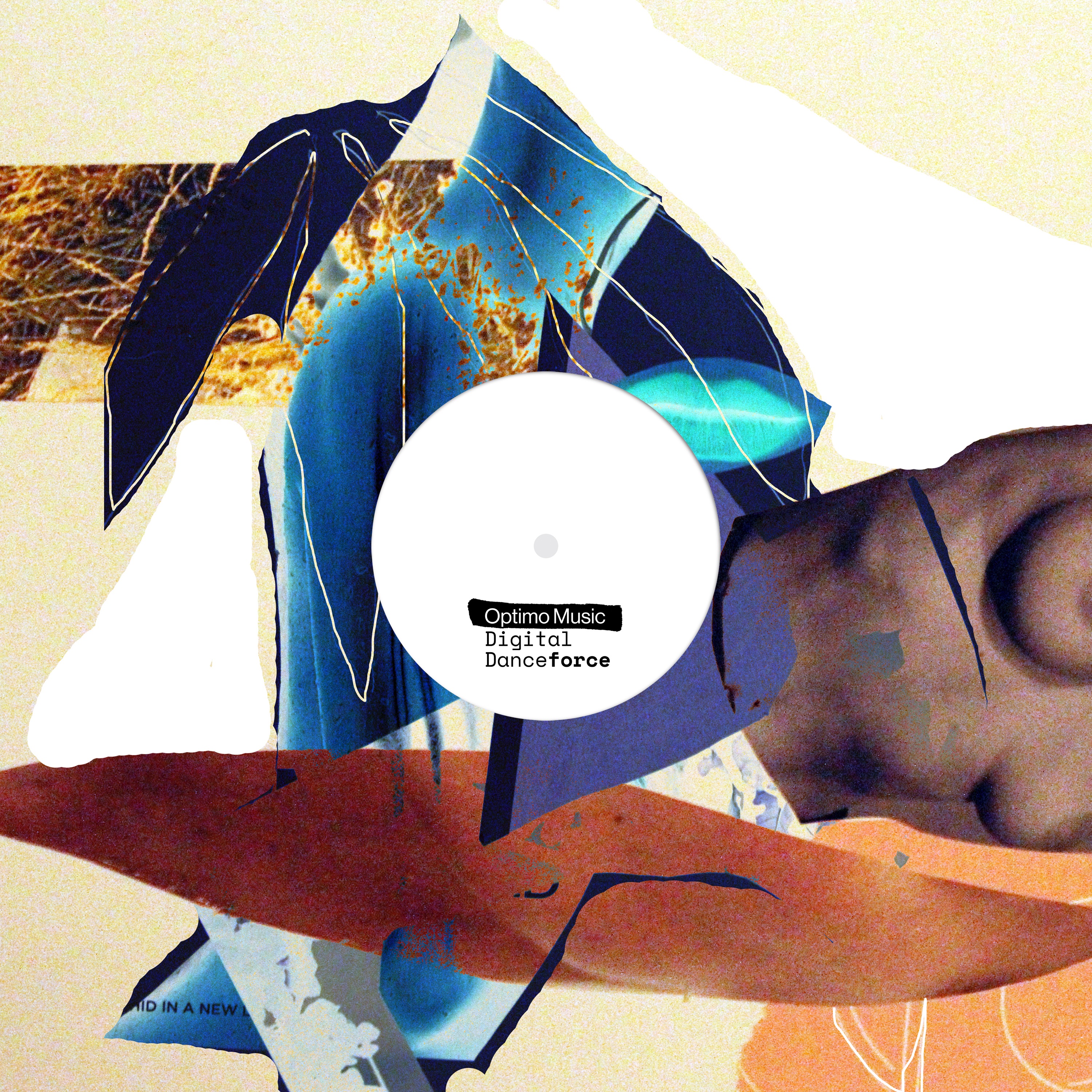 Fall Rise - Single album cover