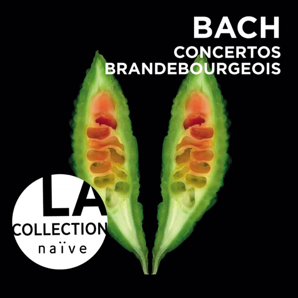 Bach: Brandenburg Concertos album cover