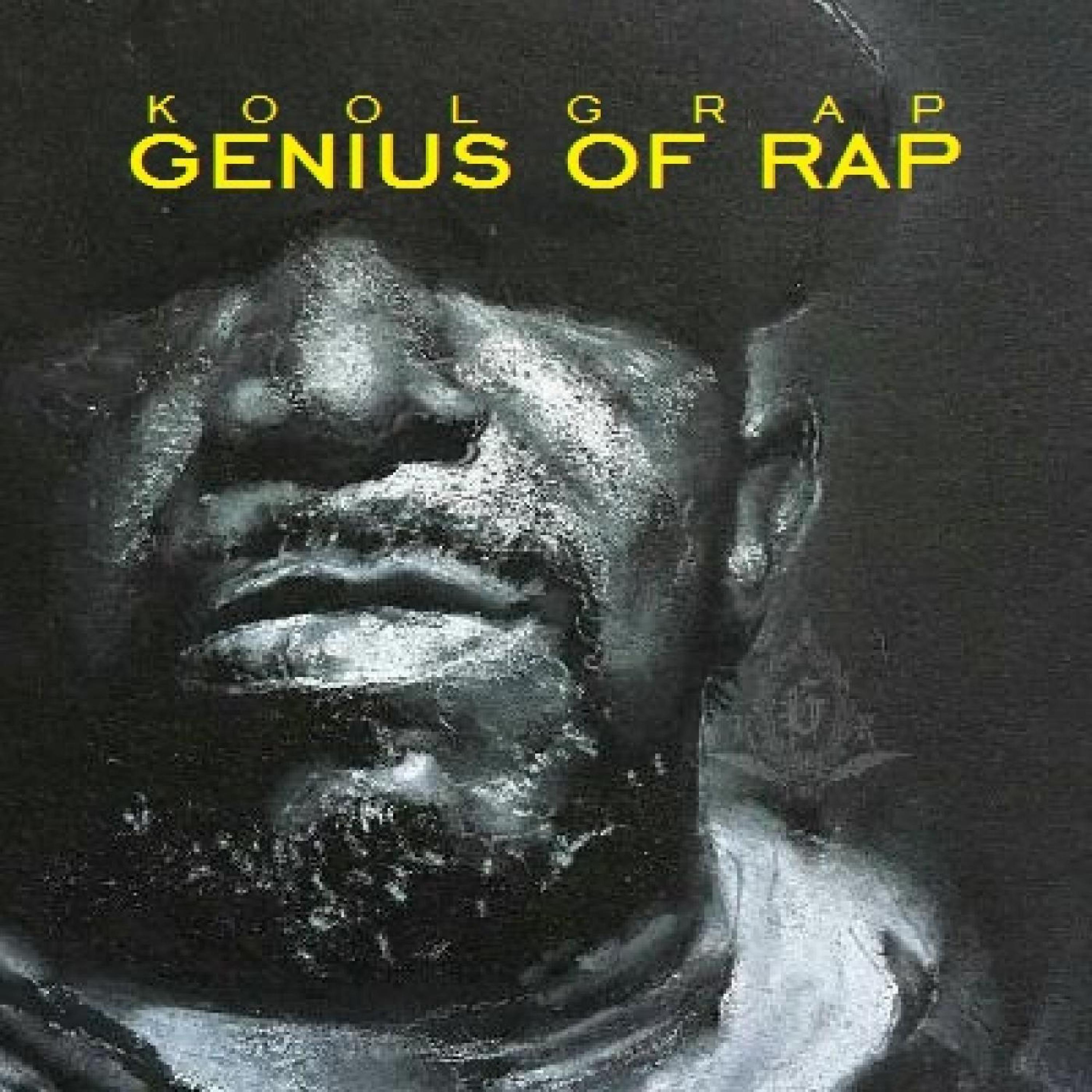 Genius Of Rap album cover