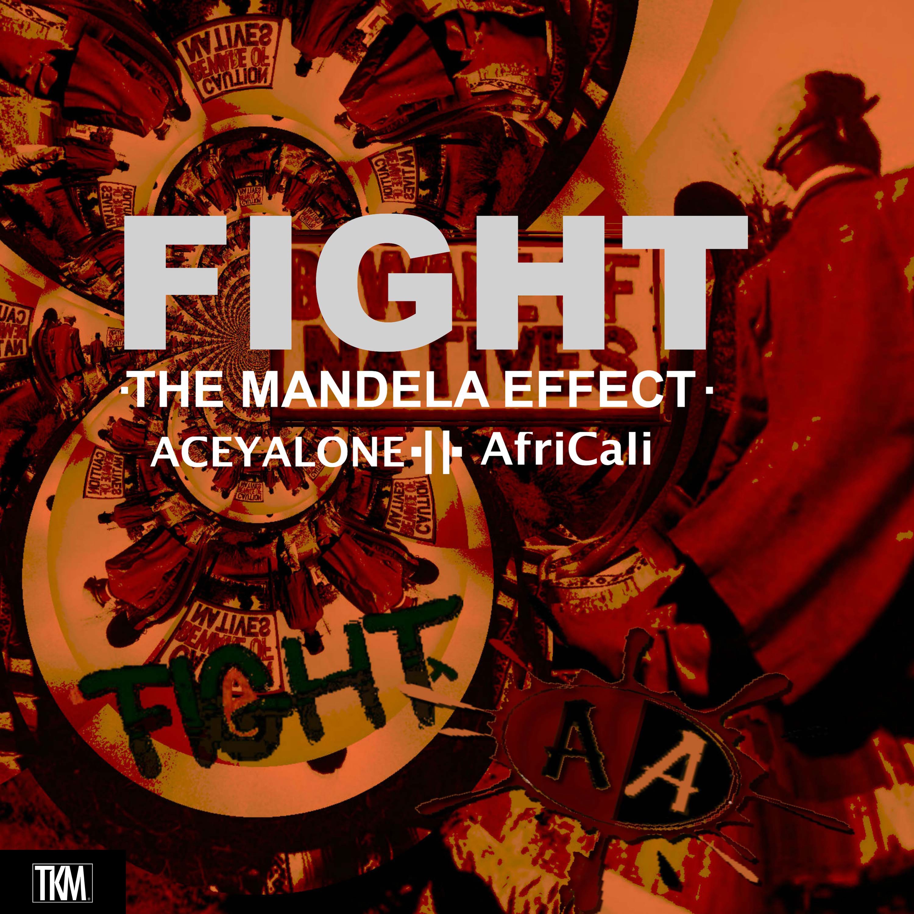 Fight! the Mandela Effect (feat. Africali) - Single album cover