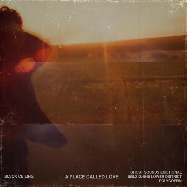 A Place Called Love album cover