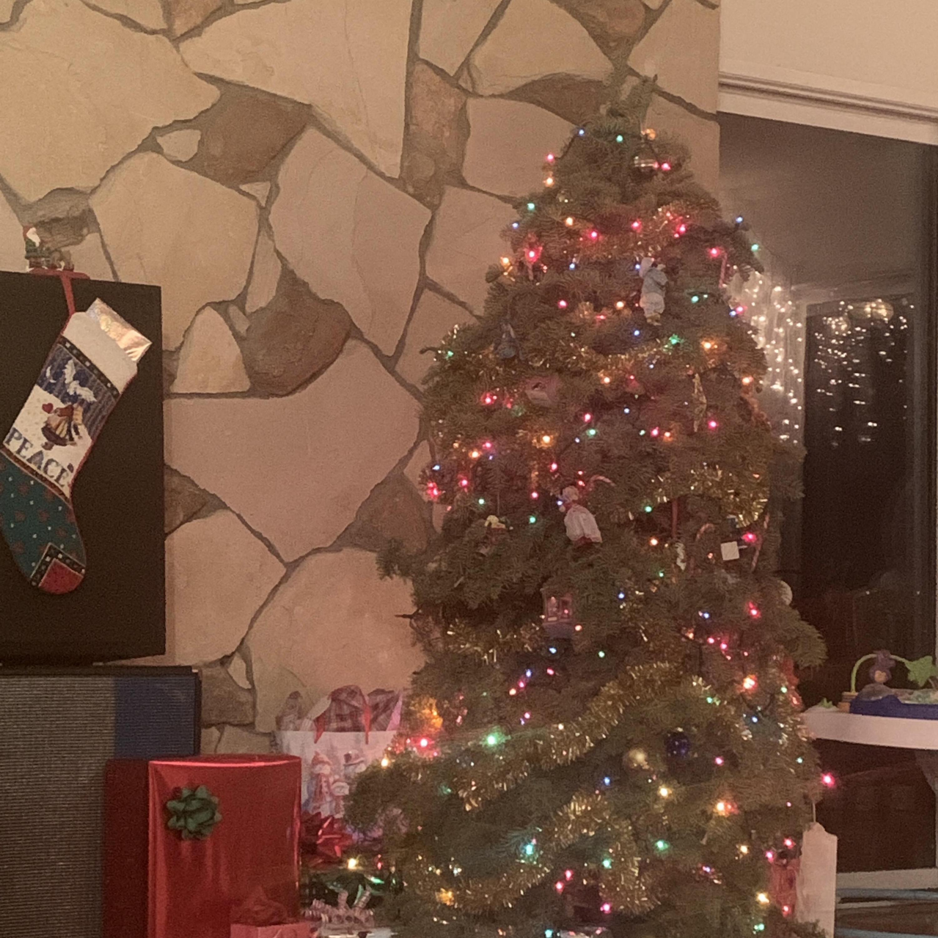 Rudolph's Laptop (feat. Winston Marshall) - Single album cover