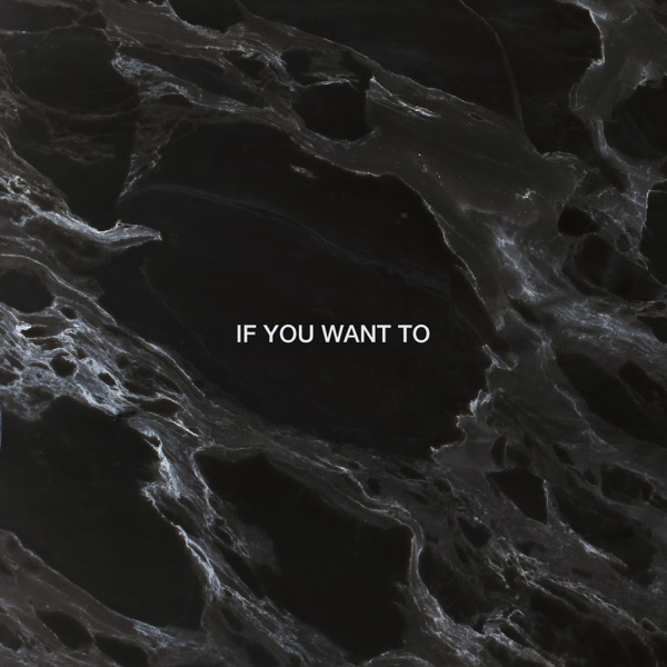 If You Want To (Dimension Remix) - Single album cover