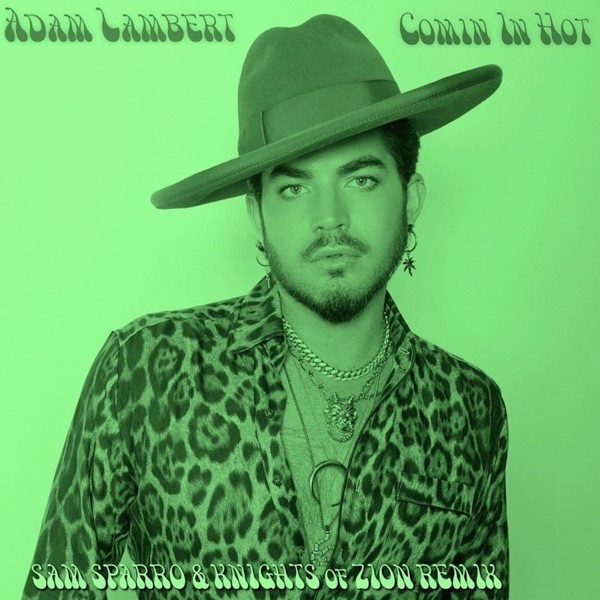 Comin In Hot (Sam Sparro & Knights of Zion Remix) - Single album cover