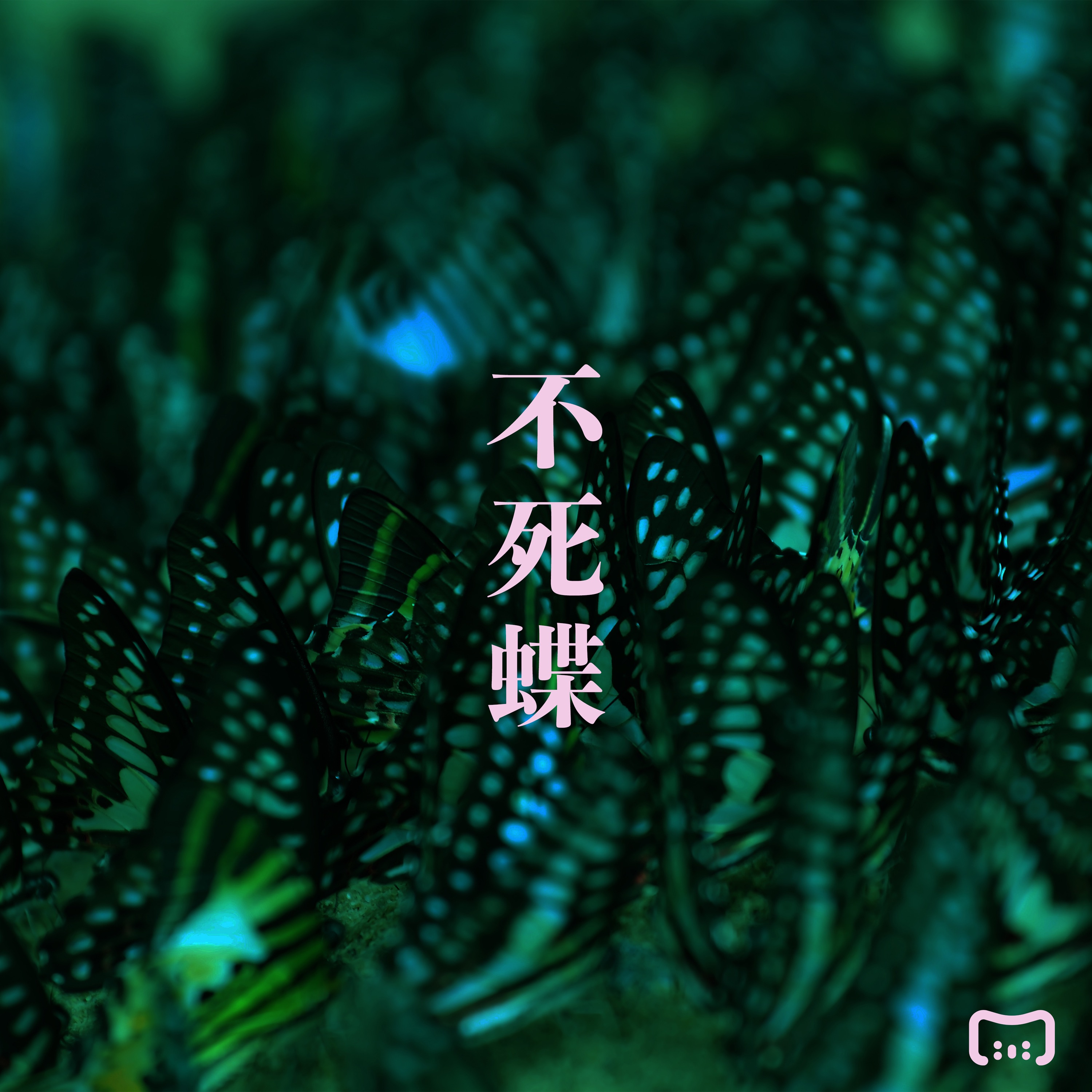 Fushicho - Single album cover