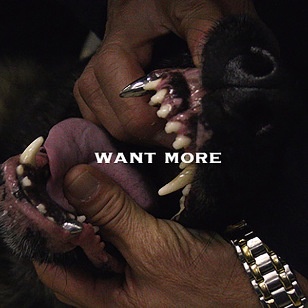 Want More - Single album cover