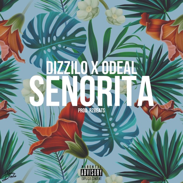Señorita - Single album cover