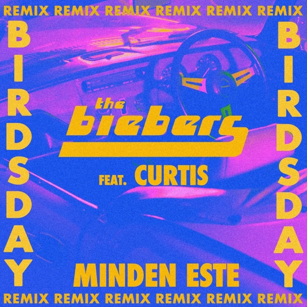 Minden este (feat. Curtis) [Birdsday Remix] - Single album cover