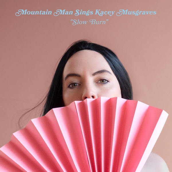 Slow Burn - Single album cover
