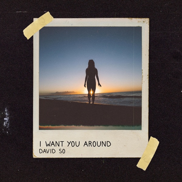 I Want You Around - Single album cover