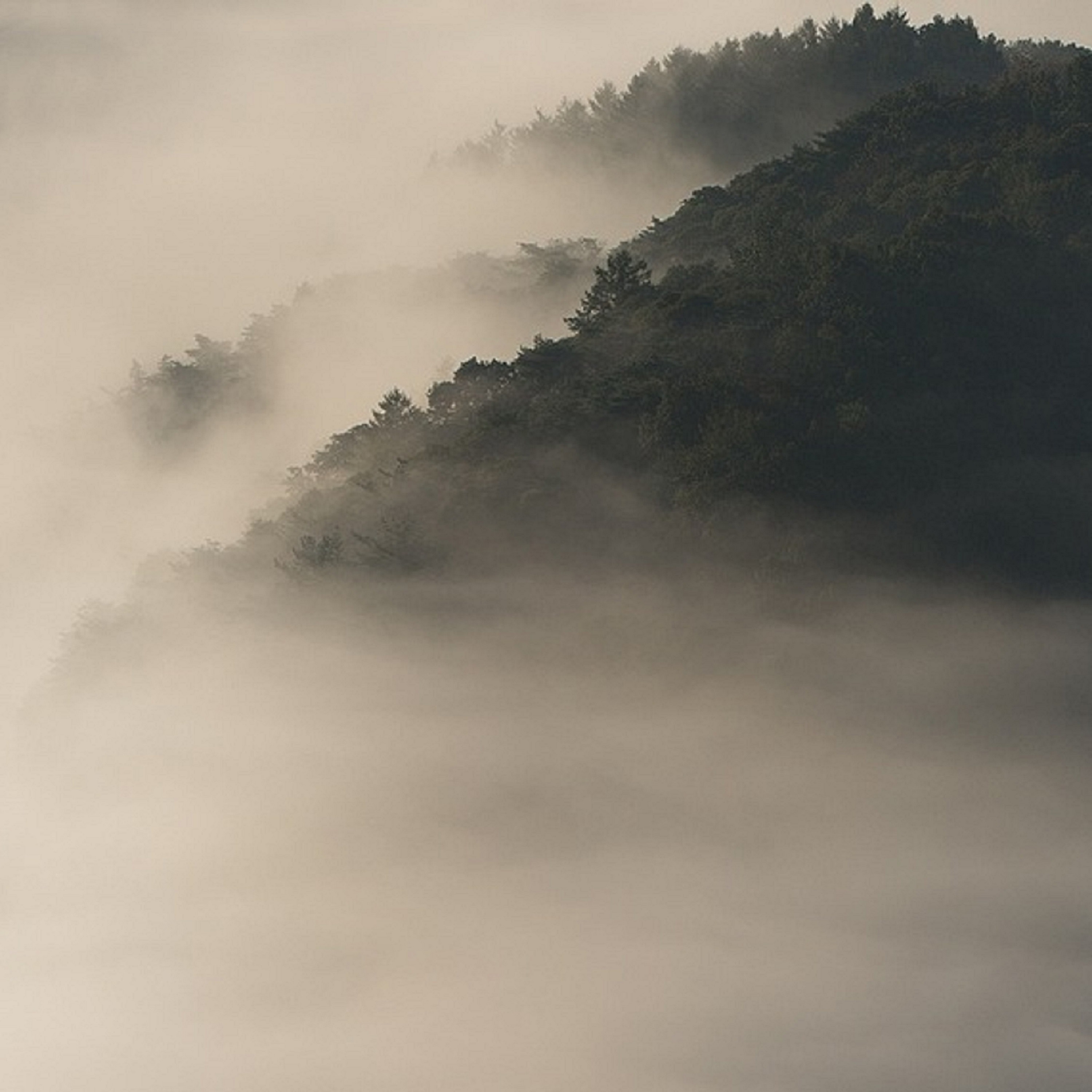 Floating on a Cloud - Single album cover