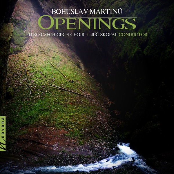 Openings album cover