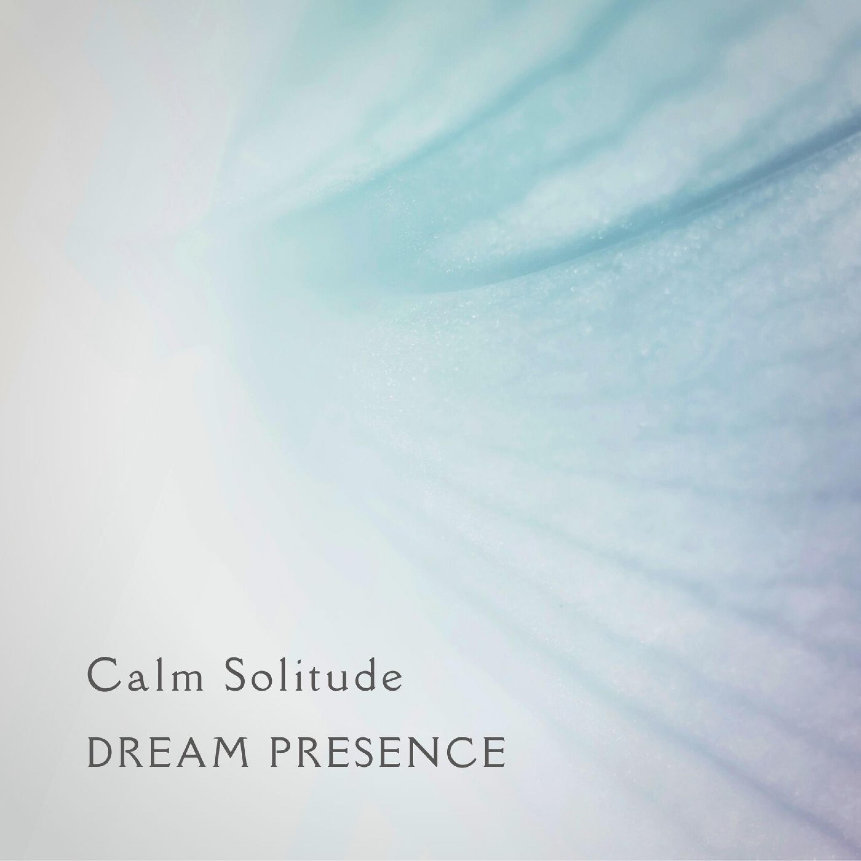 Calm Solitude - Single album cover