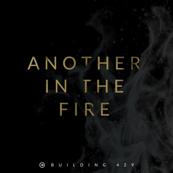 Another in the Fire - Single album cover