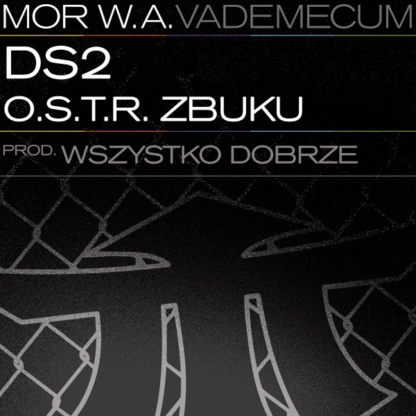 DS2 - Single album cover