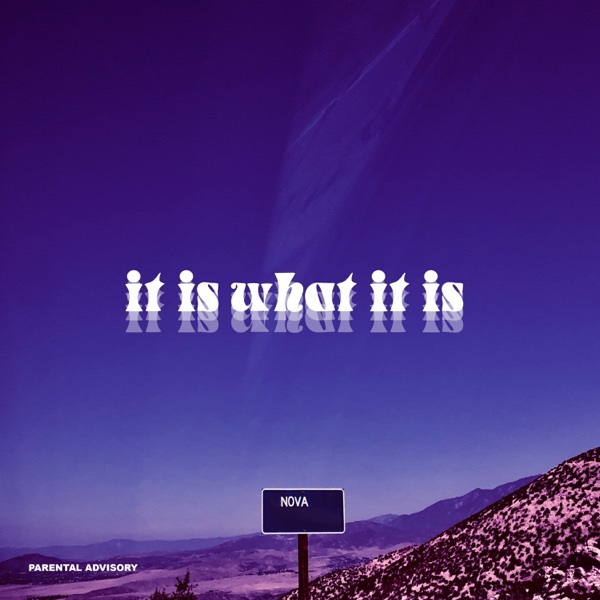 It Is What It Is album cover