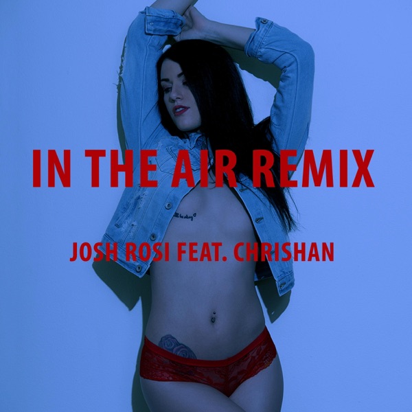 In the Air (feat. Chrishan) [Remix] - Single album cover