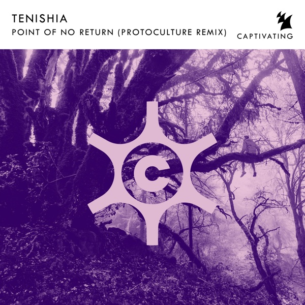 Point of No Return (Protoculture Remix) - Single album cover