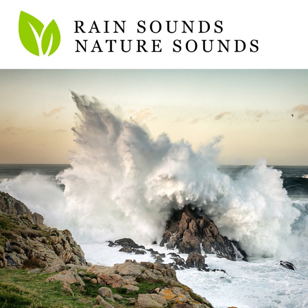 Rain Sounds Nature Sounds album cover
