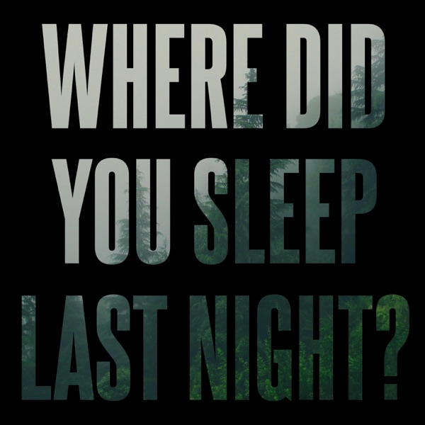 In the Pines / Where Did You Sleep Last Night - Single album cover