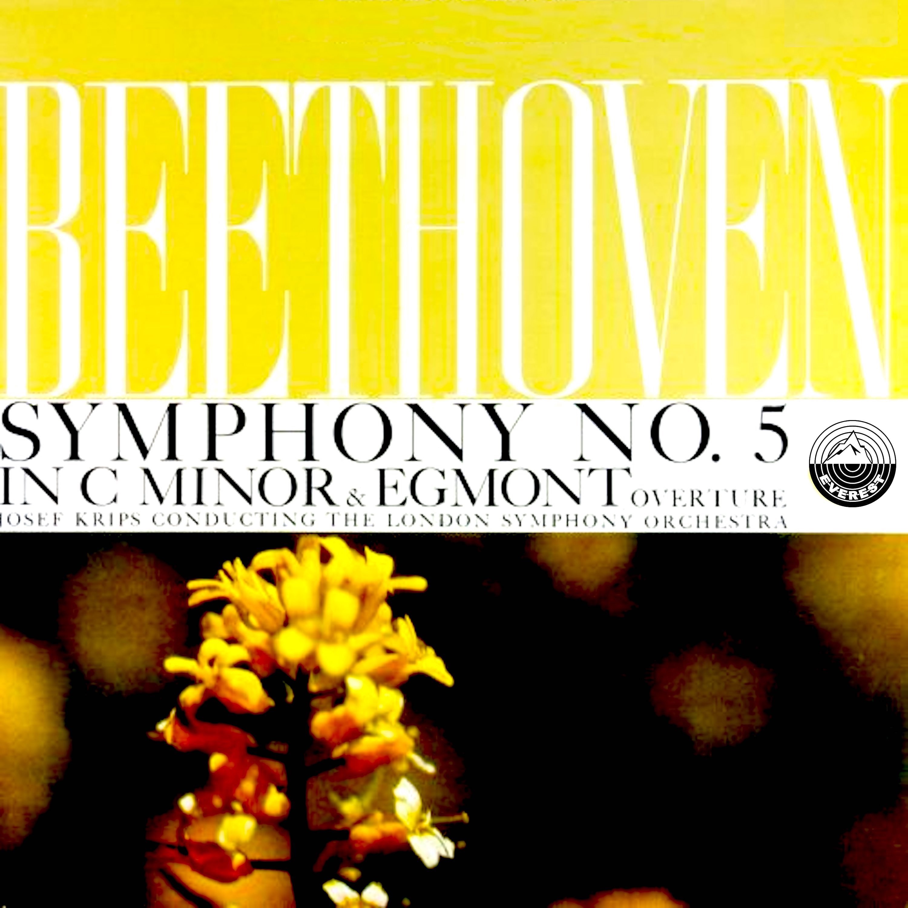 Beethoven: Symphony No. 5 in C Minor, Op. 67 & Egmont Overture album cover