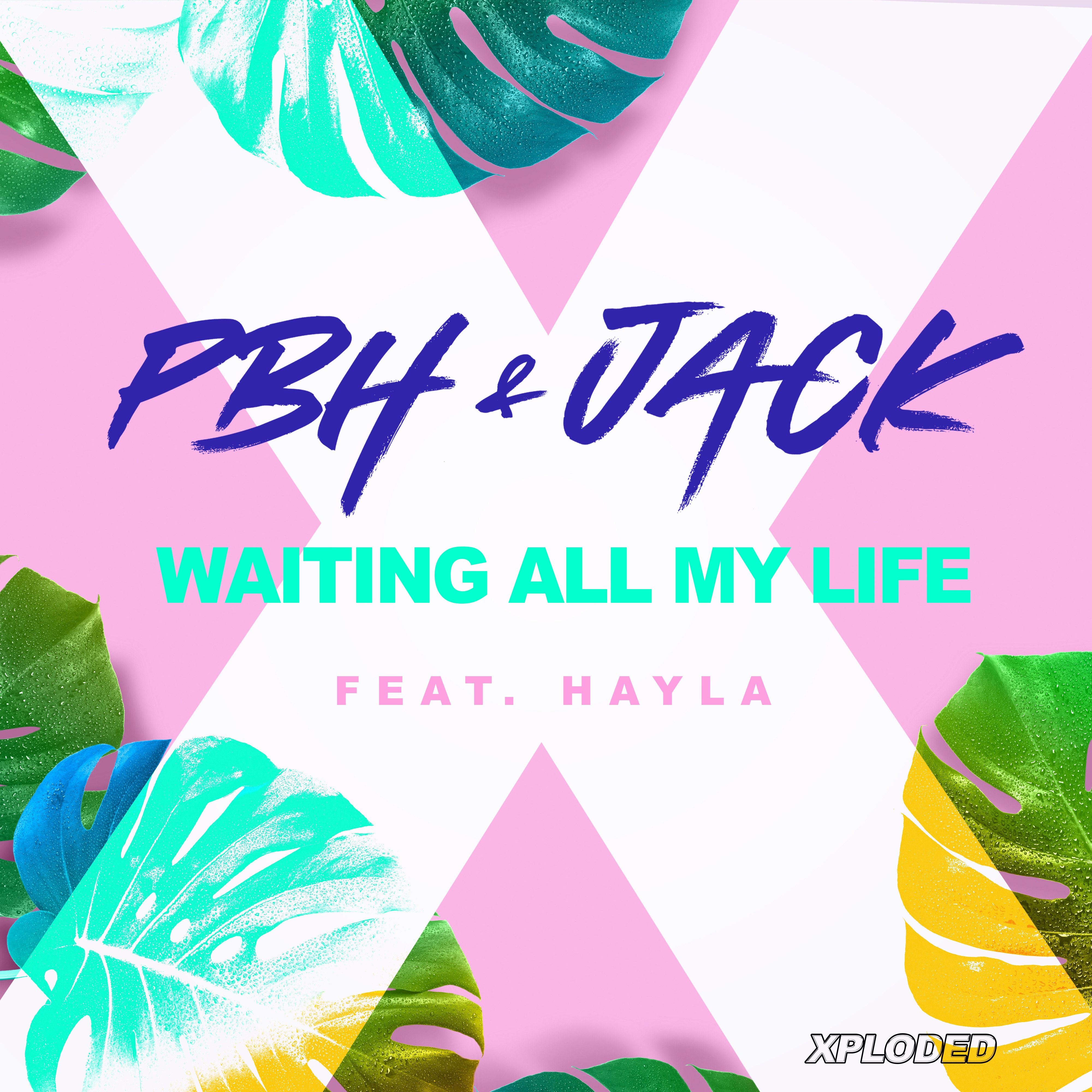 Waiting All My Life (feat. Hayla) - Single album cover