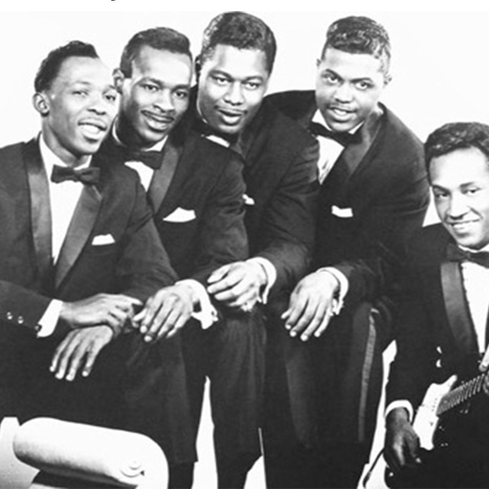 The Contours portrait