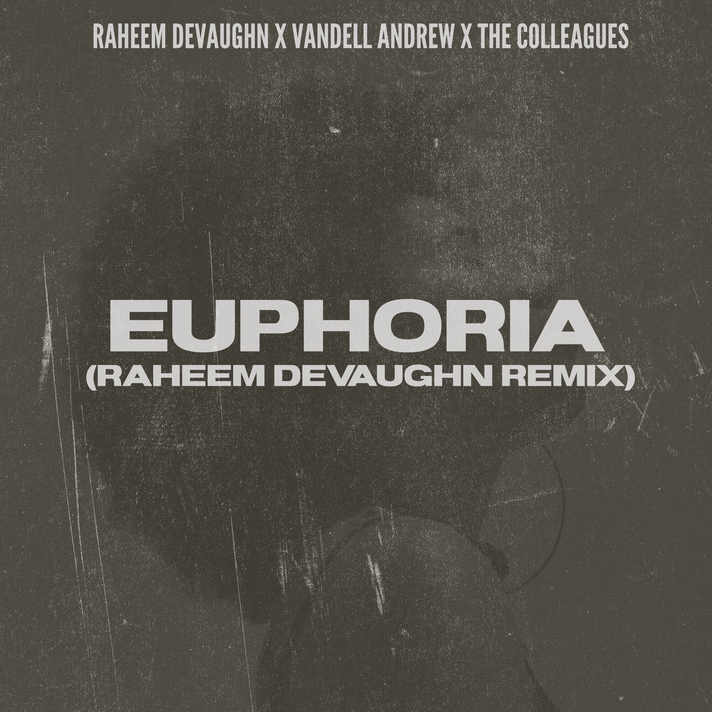 Euphoria (Raheem DeVaughn remix) - Single album cover