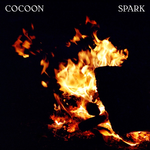 Spark - Single album cover