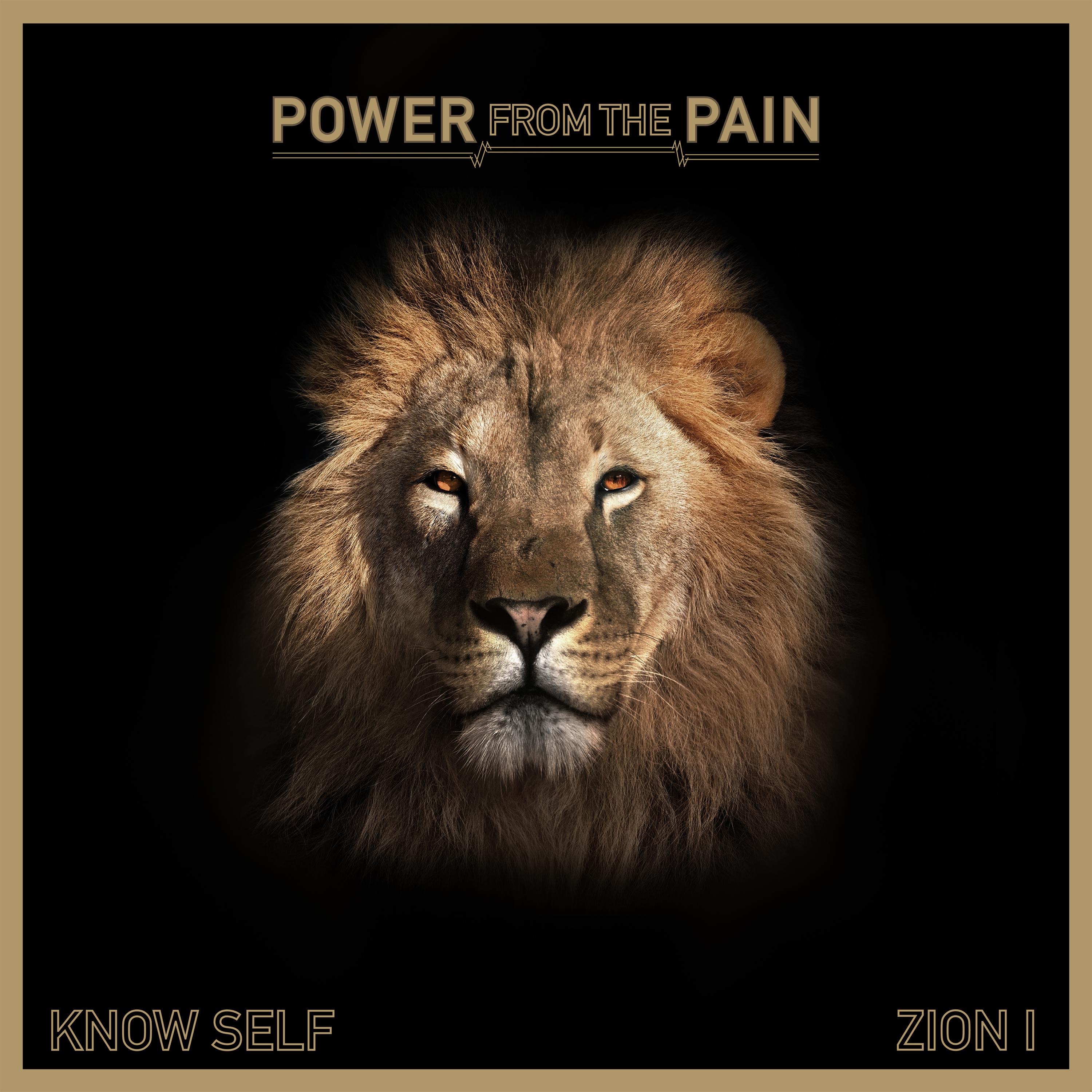 Power from the Pain - Single album cover
