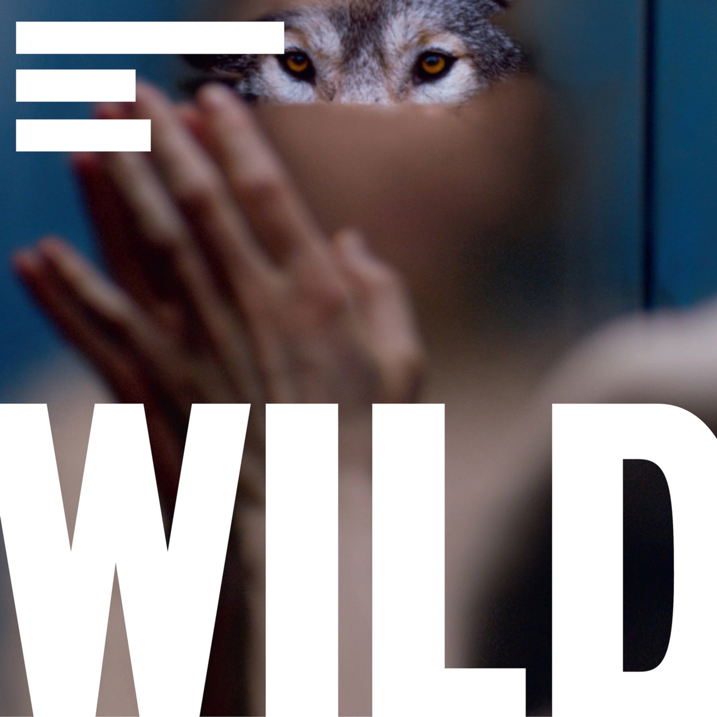 Wild Soundtrack album cover