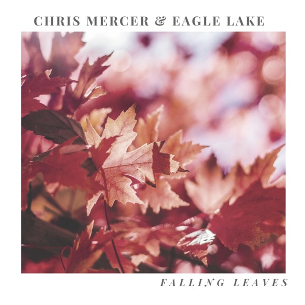 Falling Leaves - Single album cover