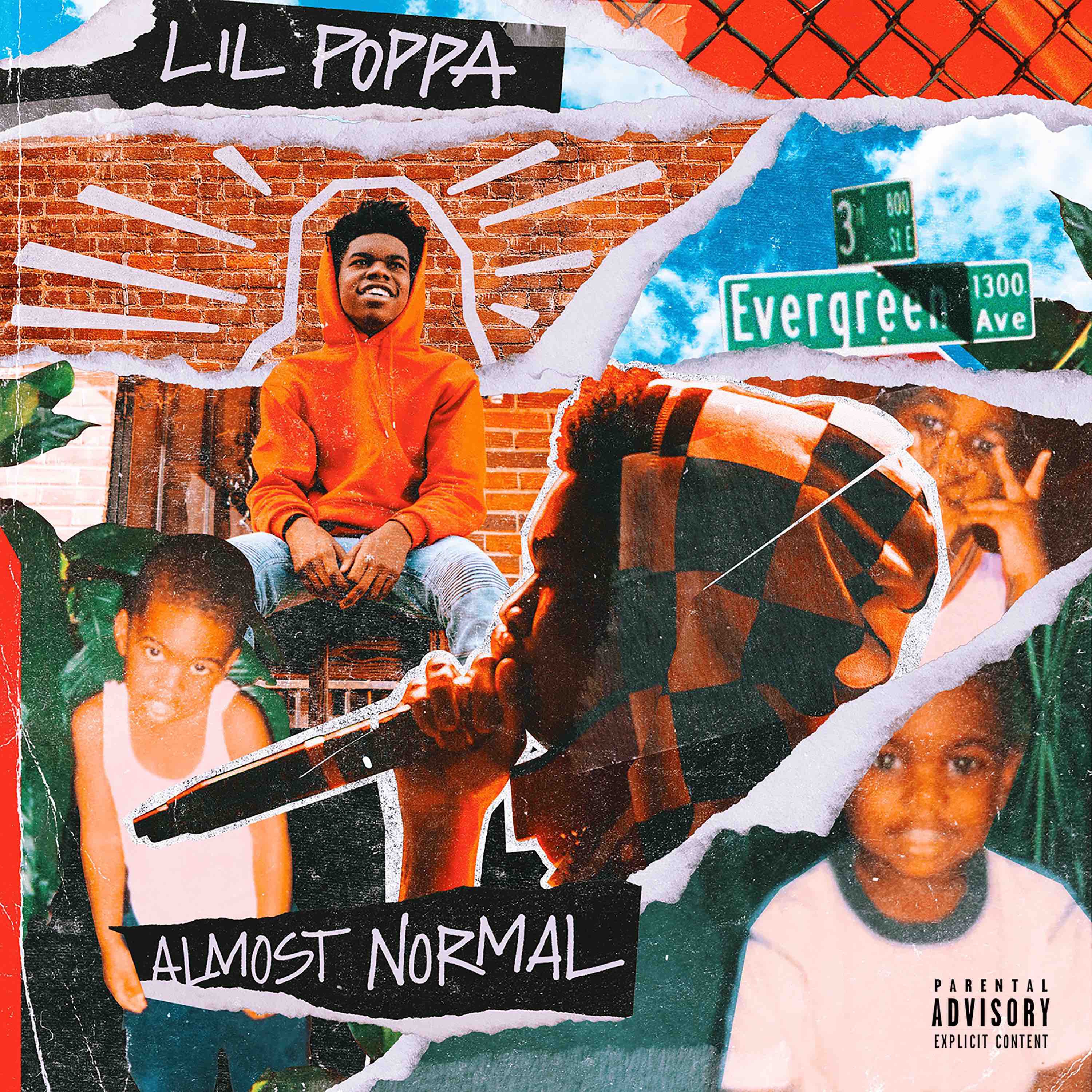 Almost Normal album cover