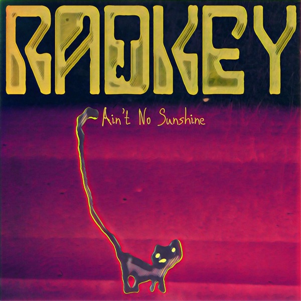 Ain't No Sunshine - Single album cover