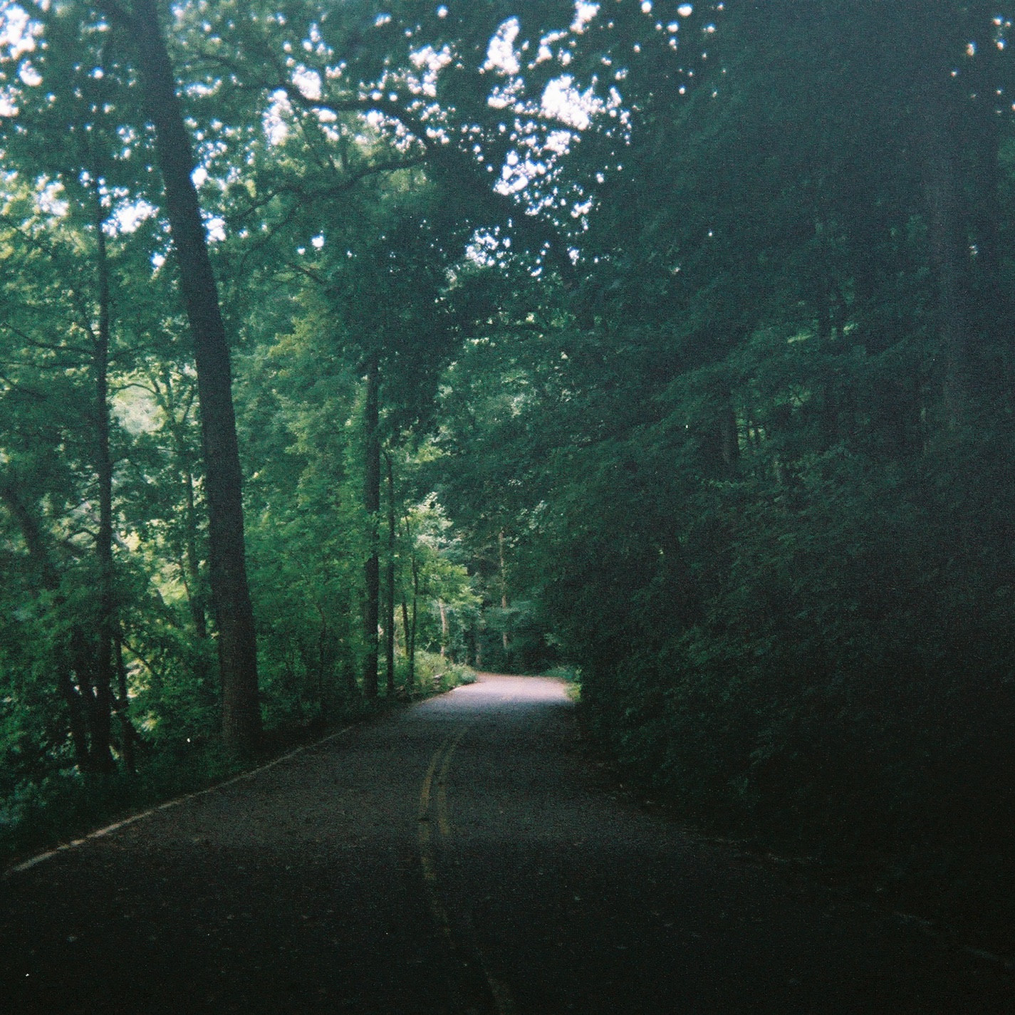 leave - Single album cover