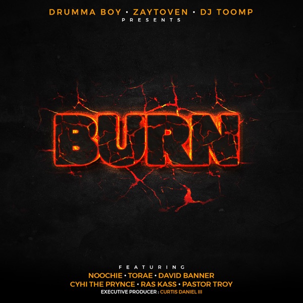 Burn (feat. Noochie, Ras Kass & Torae) - Single album cover