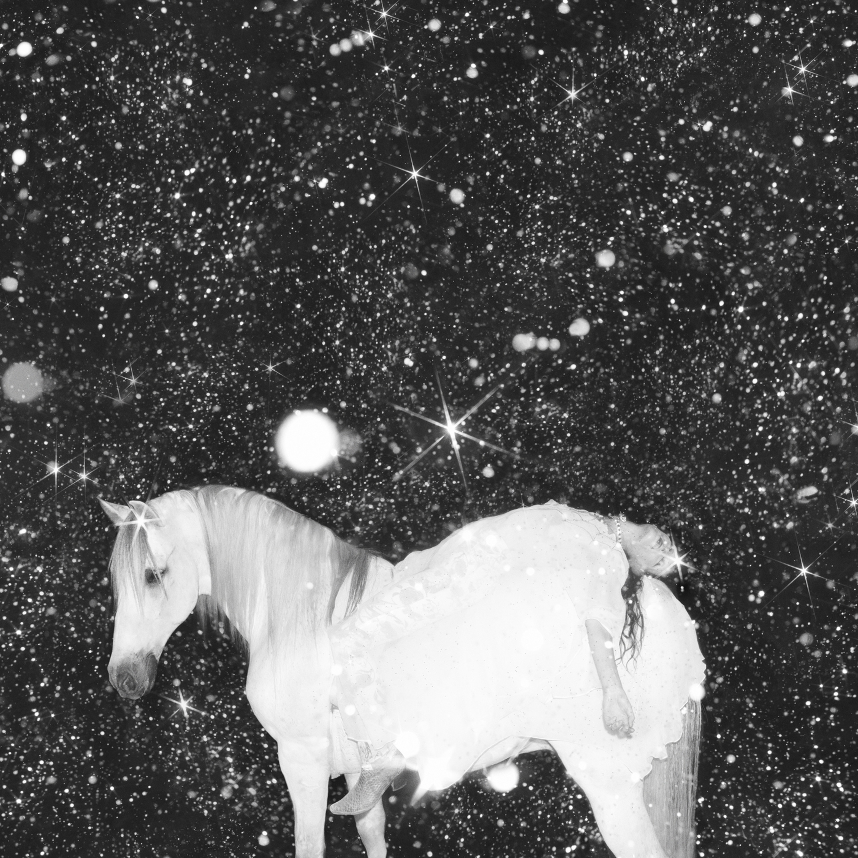 Apocalypse Love album cover