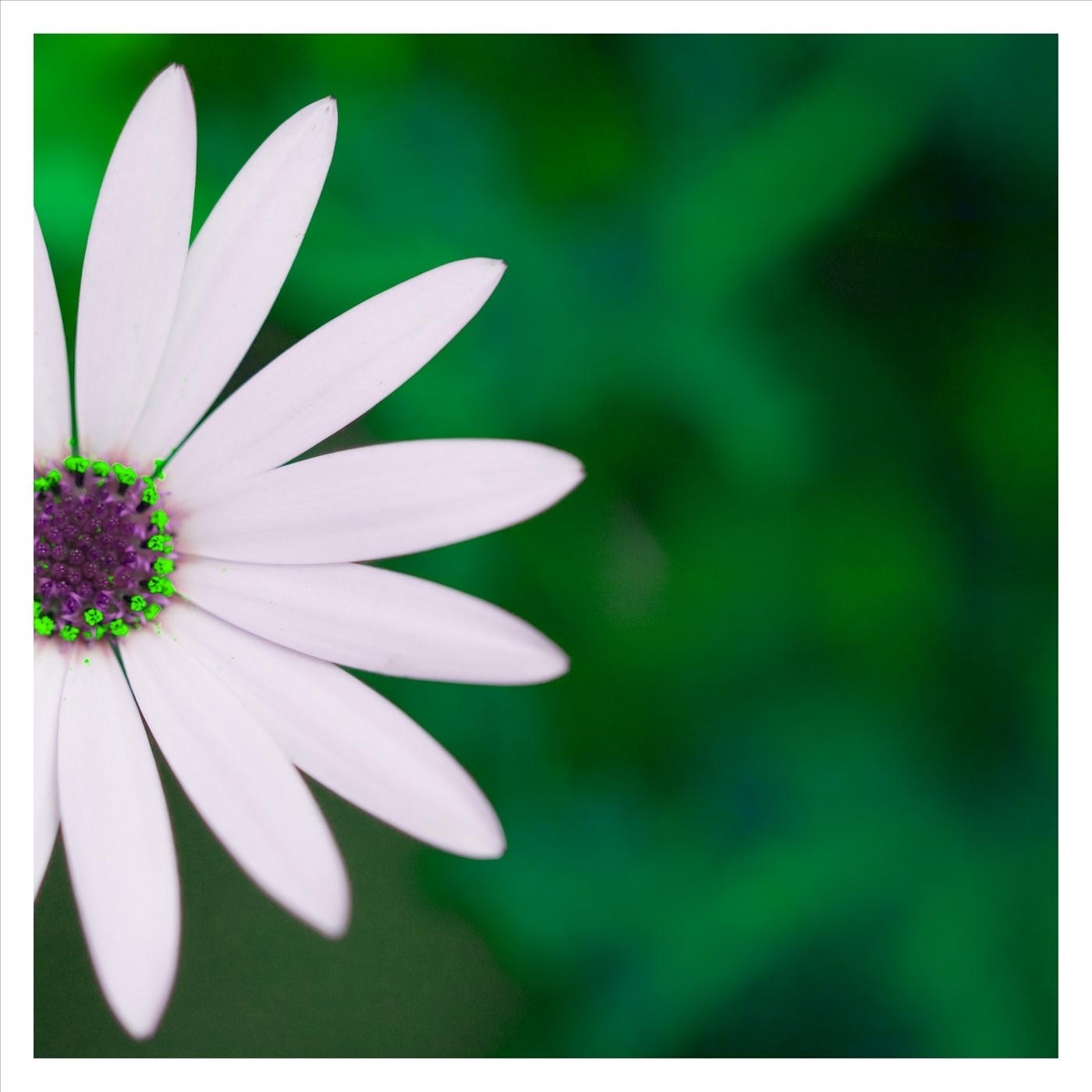 Picture Window - Single album cover