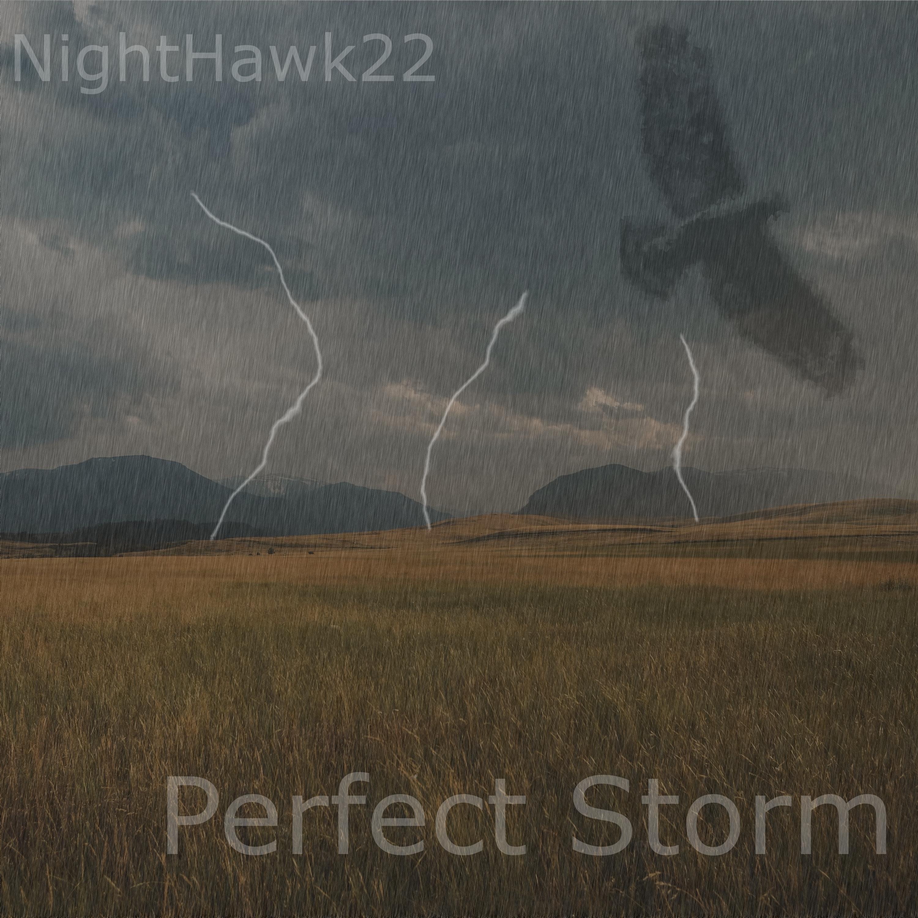 Perfect Storm - Single album cover